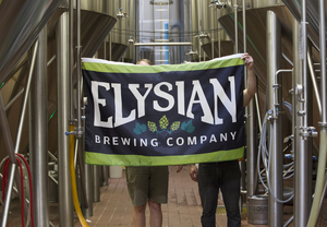 Flag - Elysian Logo