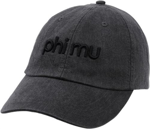 3D Embroidery Hat - phi mu