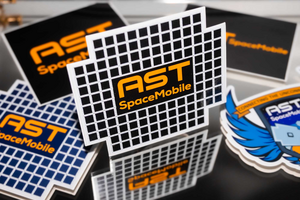 BlueBird Sticker - Black (Pack of 5)