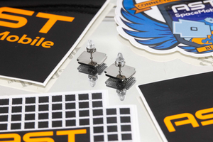BlueBird Earring Studs - Surgical Steel