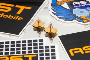 BlueBird Earring Studs - Gold