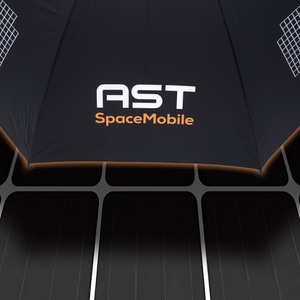 BlueBird Umbrella