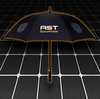 BlueBird Umbrella image 4