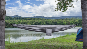 Daydreams Pocket Hammock